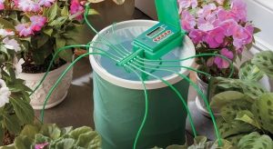 Полив растений: Как выбрать систему для экономии времени