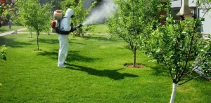 Защита сада от вредителей: Экологические методы